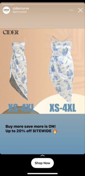 instagram story ad
